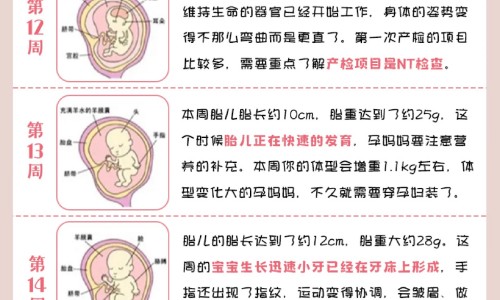每天营养摄入量网- 每天的营养摄入应该是多少知识,分享营养每日摄入量