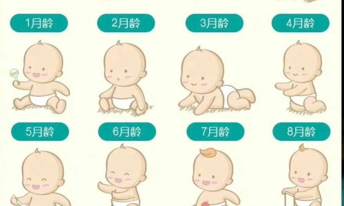 每天营养摄入量计算公式-每天营养摄入量网- 每天的营养摄入应该是多少知识,分享营养每日摄入量